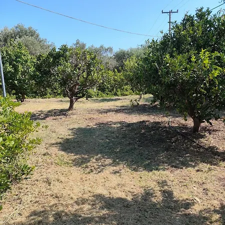 Kolymbia Home 別荘 コリンビア