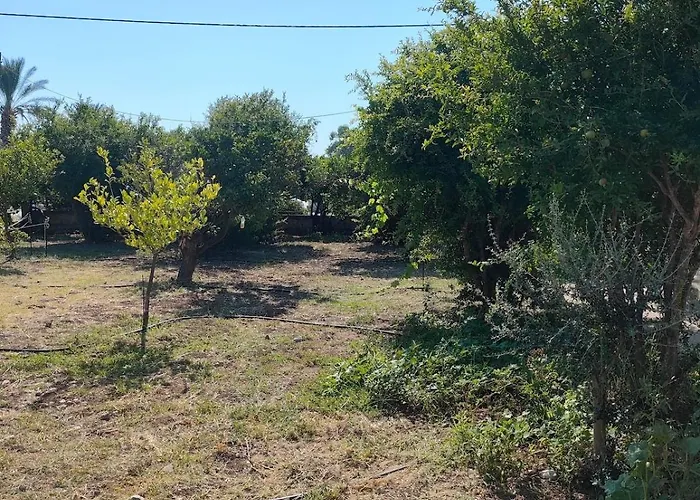 Feriehus Kolymbia Home