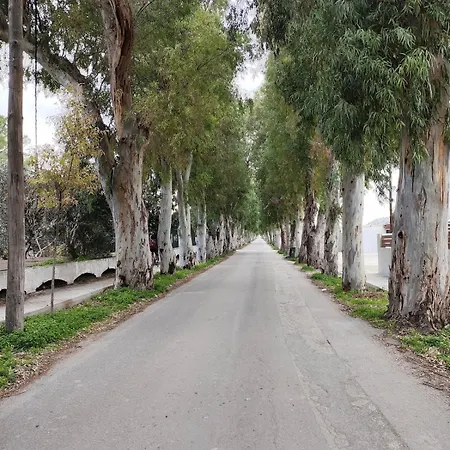 Semesterbostad Kolymbia Home Kolymbia