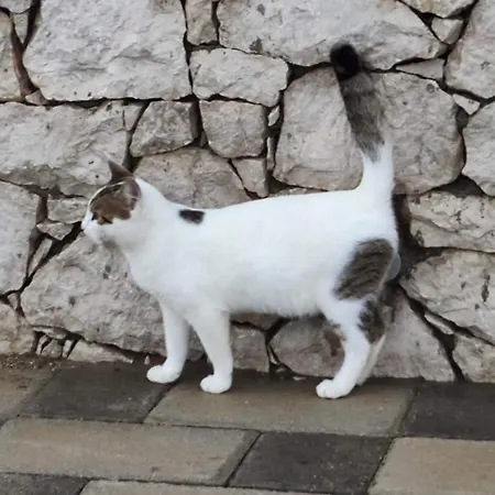 Kolymbia Home بيت للعطل