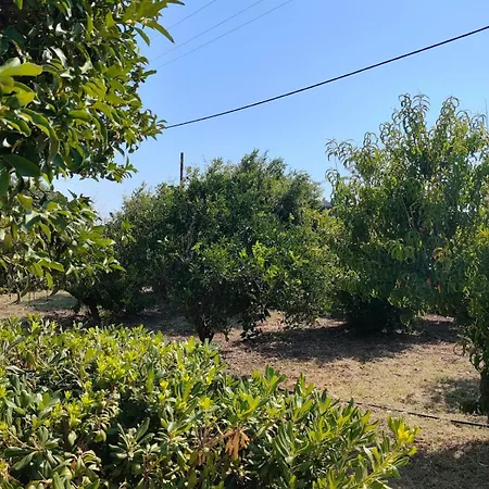 Kolymbia Home Semesterbostad Kolymbia