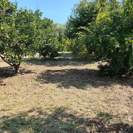 Kolymbia Home Колимбия