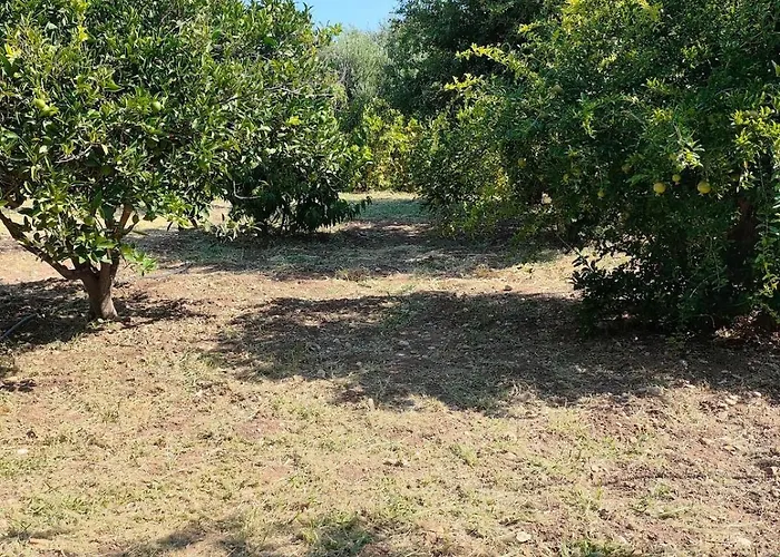 Kolymbia Home קולימביה