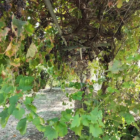 Hébergement de vacances Kolymbia Home *