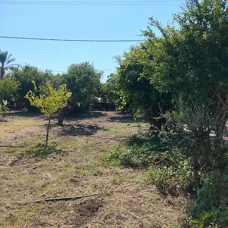Hébergement de vacances Kolymbia Home