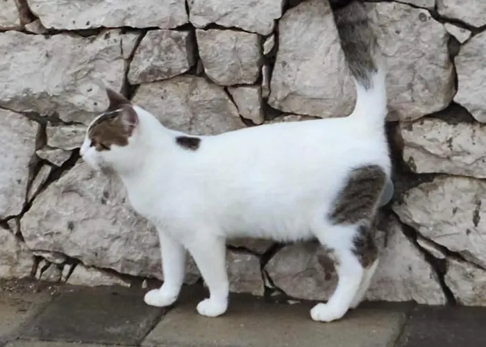 Kolymbia Home Σπίτι διακοπών