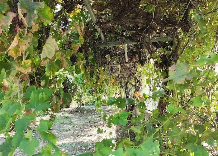 Σπίτι διακοπών Kolymbia Home *